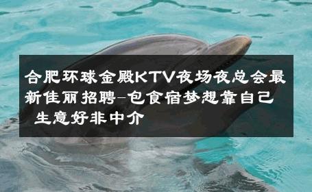 合肥环球金殿KTV夜场夜总会最新佳丽招聘-包食宿梦想靠自己 生意好非中介