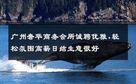 广州奢华商务会所诚聘优雅,轻松氛围高薪日结生意很好