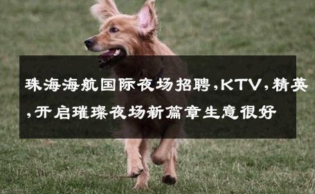 珠海海航国际夜场招聘,KTV,精英,开启璀璨夜场新篇章生意很好