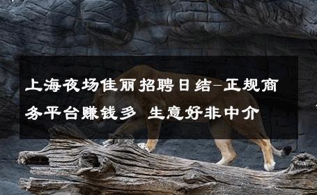 上海夜场佳丽招聘日结-正规商务平台赚钱多 生意好非中介