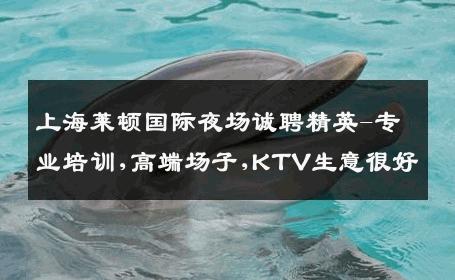 上海莱顿国际夜场诚聘精英-专业培训,高端场子,KTV生意很好