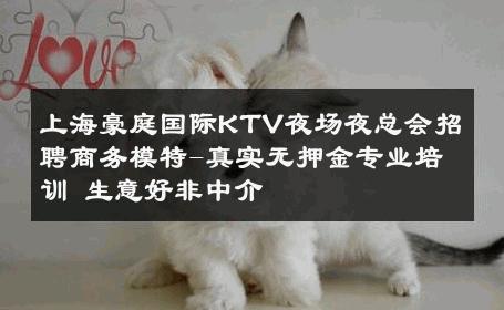 上海豪庭国际KTV夜场夜总会招聘商务模特-真实无押金专业培训 生意好非中介