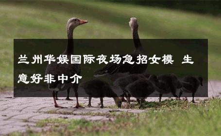 兰州华娱国际夜场急招女模 生意好非中介