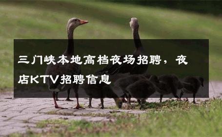 三门峡本地高档夜场招聘，夜店KTV招聘信息