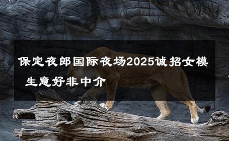 保定夜郎国际夜场2025诚招女模 生意好非中介