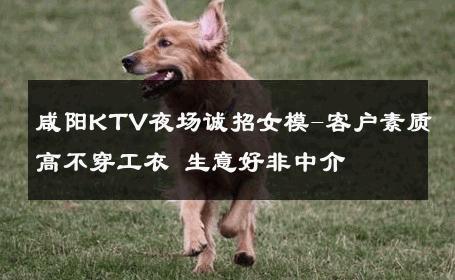 咸阳KTV夜场诚招女模-客户素质高不穿工衣 生意好非中介