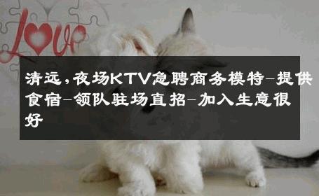 清远,夜场KTV急聘商务模特-提供食宿-领队驻场直招-加入生意很好