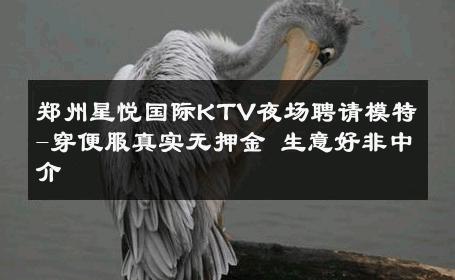 郑州星悦国际KTV夜场聘请模特-穿便服真实无押金 生意好非中介