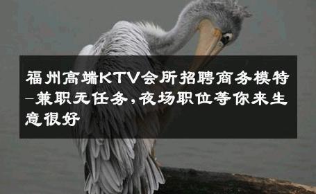 福州高端KTV会所招聘商务模特-兼职无任务,夜场职位等你来生意很好