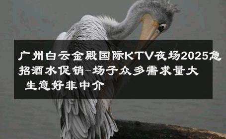 广州白云金殿国际KTV夜场2025急招酒水促销-场子众多需求量大 生意好非中介