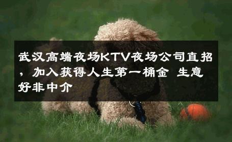 武汉高端夜场KTV夜场公司直招，加入获得人生第一桶金 生意好非中介
