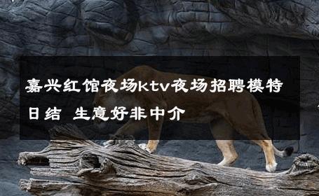 嘉兴红馆夜场ktv夜场招聘模特日结 生意好非中介