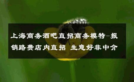 上海商务酒吧直招商务模特-报销路费店内直招 生意好非中介