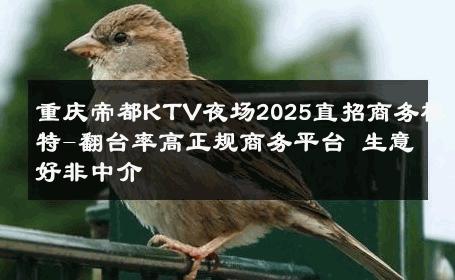 重庆帝都KTV夜场2025直招商务模特-翻台率高正规商务平台 生意好非中介