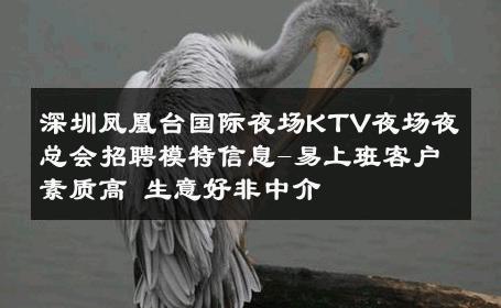 深圳凤凰台国际夜场KTV夜场夜总会招聘模特信息-易上班客户素质高 生意好非中介