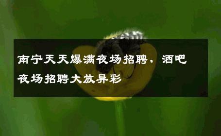 南宁天天爆满夜场招聘，酒吧夜场招聘大放异彩