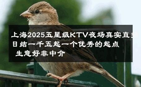 上海2025五星级KTV夜场真实直招日结一千五起一个优秀的起点 生意好非中介