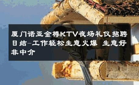 厦门诺亚金樽KTV夜场礼仪招聘日结-工作轻松生意火爆 生意好非中介