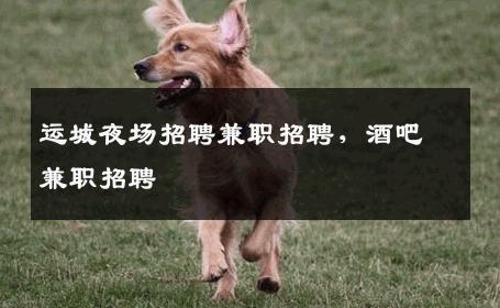 运城夜场招聘兼职招聘，酒吧兼职招聘