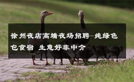 徐州夜店高端夜场招聘-纯绿色包食宿 生意好非中介