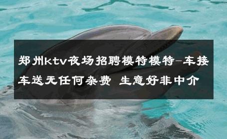 郑州ktv夜场招聘模特模特-车接车送无任何杂费 生意好非中介
