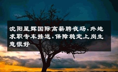 沈阳星辉国际高薪聘夜场,外地求职专车接送,保障稳定上岗生意很好