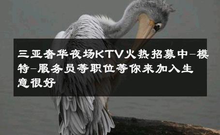 三亚奢华夜场KTV火热招募中-模特-服务员等职位等你来加入生意很好