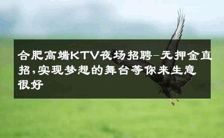 合肥高端KTV夜场招聘-无押金直招,实现梦想的舞台等你来生意很好