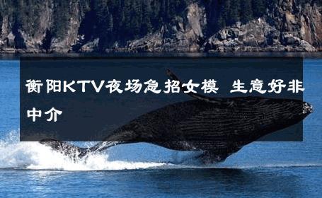 衡阳KTV夜场急招女模 生意好非中介