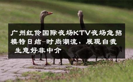 广州红伶国际夜场KTV夜场急招模特日结-时尚潮流，展现自我 生意好非中介