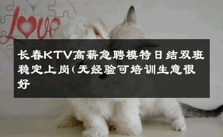长春KTV高薪急聘模特日结双班稳定上岗(无经验可培训生意很好
