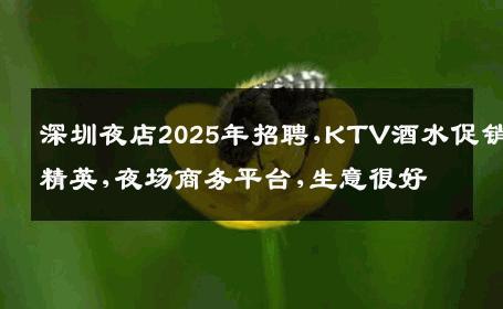 深圳夜店2025年招聘,KTV酒水促销精英,夜场商务平台,生意很好