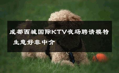 成都西城国际KTV夜场聘请模特 生意好非中介