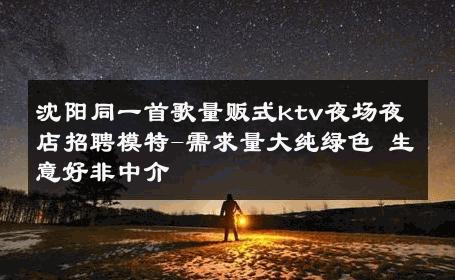 沈阳同一首歌量贩式ktv夜场夜店招聘模特-需求量大纯绿色 生意好非中介