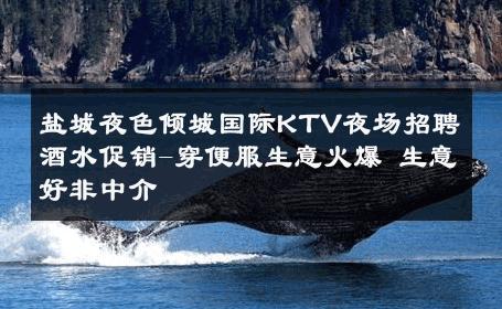 盐城夜色倾城国际KTV夜场招聘酒水促销-穿便服生意火爆 生意好非中介