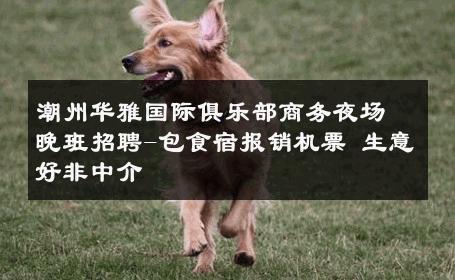 潮州华雅国际俱乐部商务夜场晚班招聘-包食宿报销机票 生意好非中介