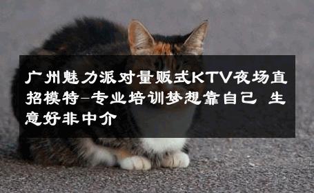 广州魅力派对量贩式KTV夜场直招模特-专业培训梦想靠自己 生意好非中介