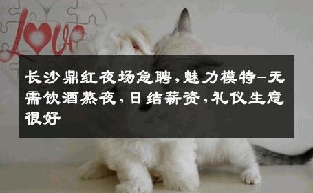 长沙鼎红夜场急聘,魅力模特-无需饮酒熬夜,日结薪资,礼仪生意很好
