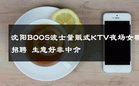 沈阳BOOS波士量贩式KTV夜场女模招聘 生意好非中介