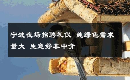 宁波夜场招聘礼仪-纯绿色需求量大 生意好非中介