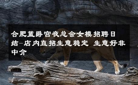 合肥蓝爵宫夜总会女模招聘日结-店内直招生意稳定 生意好非中介