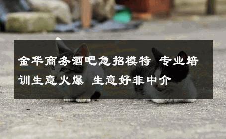 金华商务酒吧急招模特-专业培训生意火爆 生意好非中介