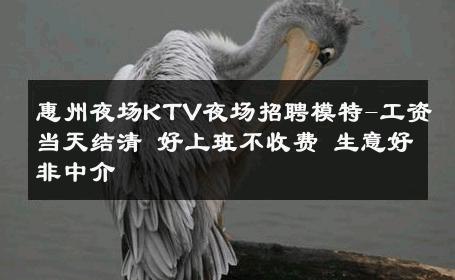 惠州夜场KTV夜场招聘模特-工资当天结清 好上班不收费 生意好非中介