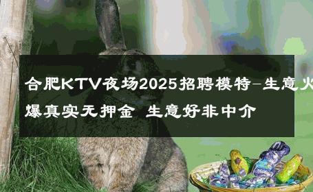 合肥KTV夜场2025招聘模特-生意火爆真实无押金 生意好非中介
