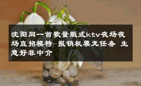 沈阳同一首歌量贩式ktv夜场夜场直招模特-报销机票无任务 生意好非中介