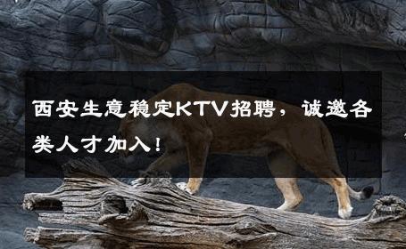西安生意稳定KTV招聘，诚邀各类人才加入！