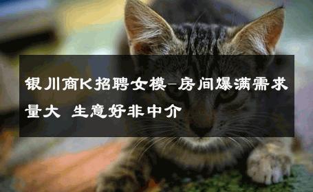 银川商K招聘女模-房间爆满需求量大 生意好非中介