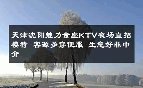 天津沈阳魅力金座KTV夜场直招模特-客源多穿便服 生意好非中介