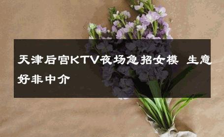 天津后宫KTV夜场急招女模 生意好非中介