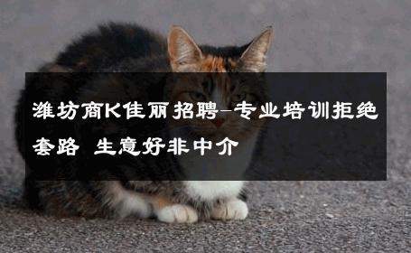 潍坊商K佳丽招聘-专业培训拒绝套路 生意好非中介